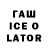 Псилоцибиновые грибы мицелий Gwyneth Lawrie
