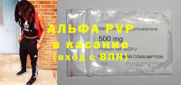 индика Богородск