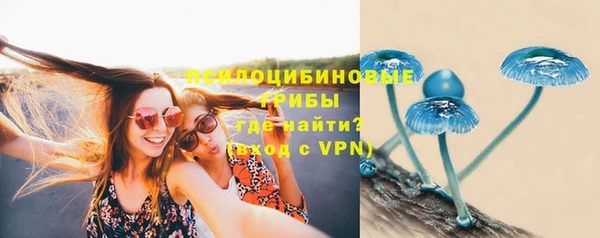 твердый Белокуриха