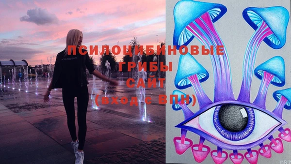 твердый Белокуриха