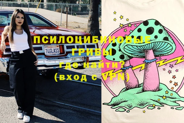 твердый Белокуриха
