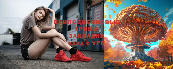 твердый Белокуриха
