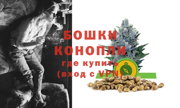 твердый Белокуриха