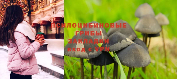 индика Богородск